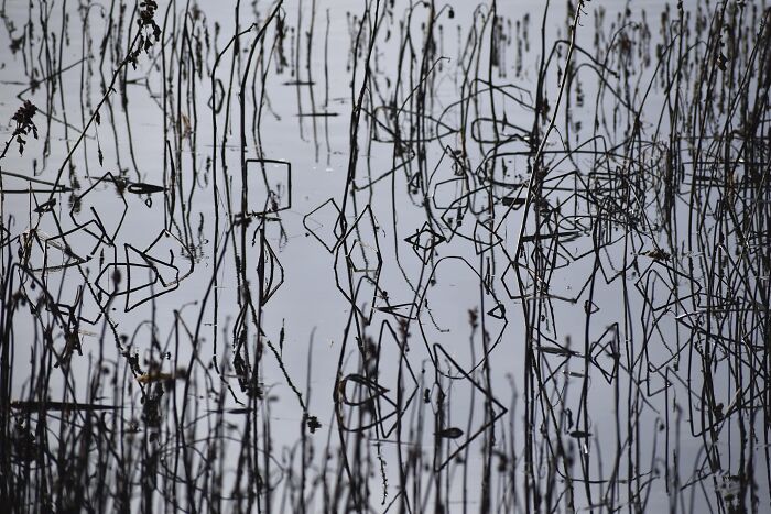 Unspectacular-Subject-Photography