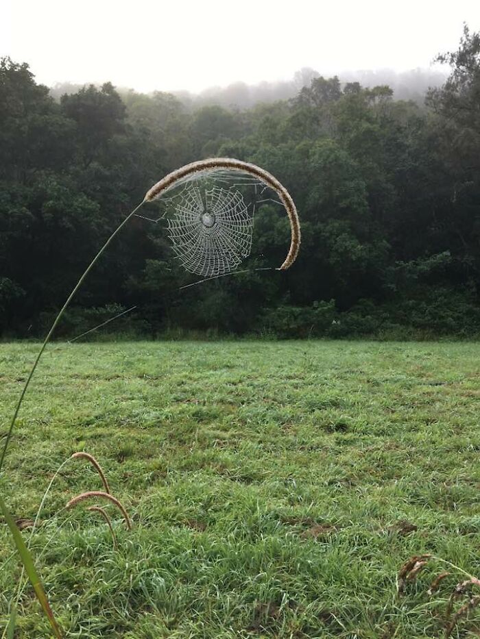 Unspectacular-Subject-Photography