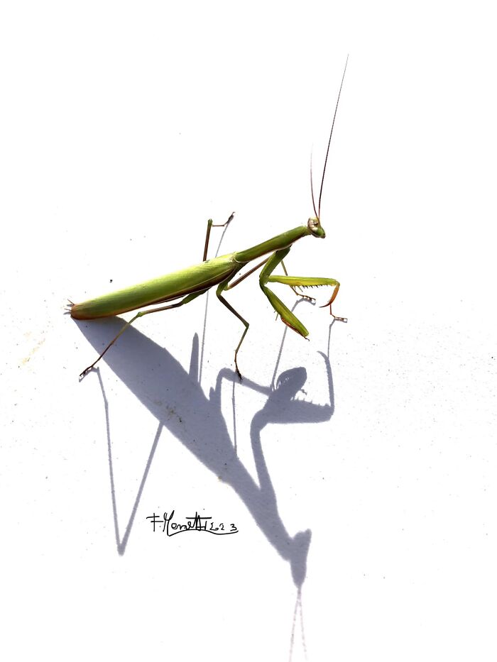 Unspectacular-Subject-Photography