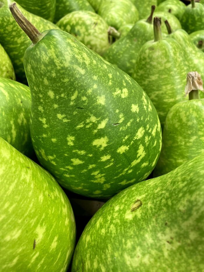 Unspectacular-Subject-Photography