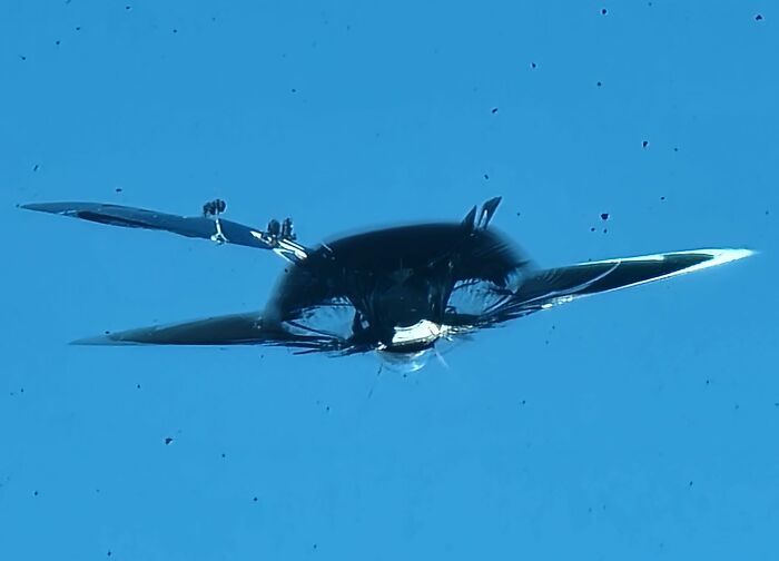 Unspectacular-Subject-Photography