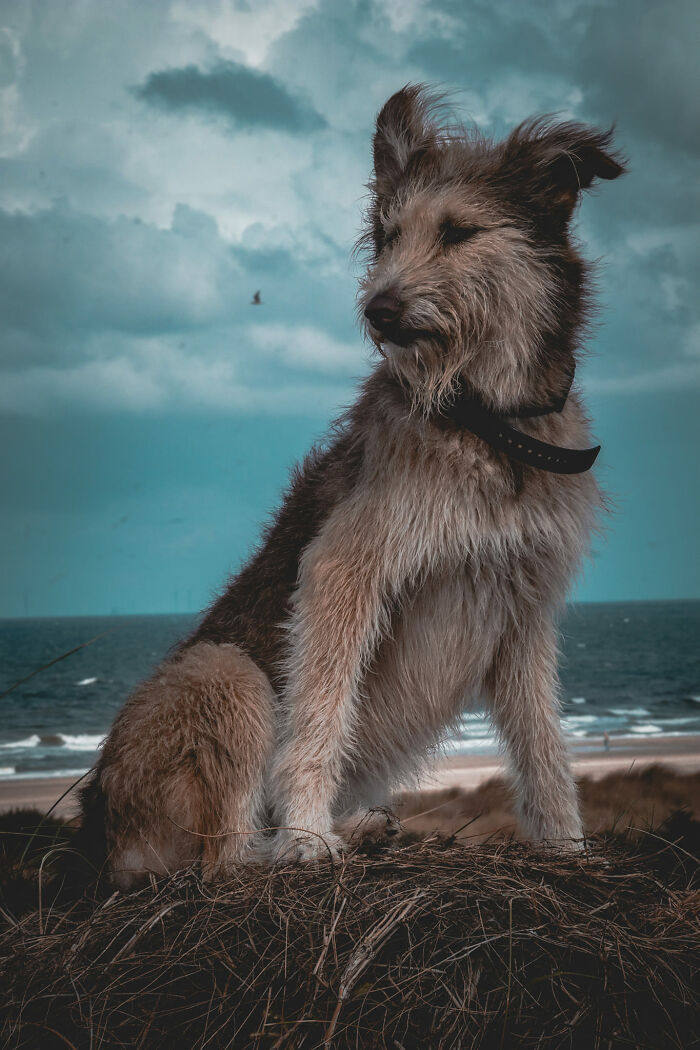 Unspectacular-Subject-Photography