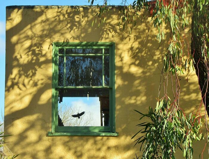 Unspectacular-Subject-Photography