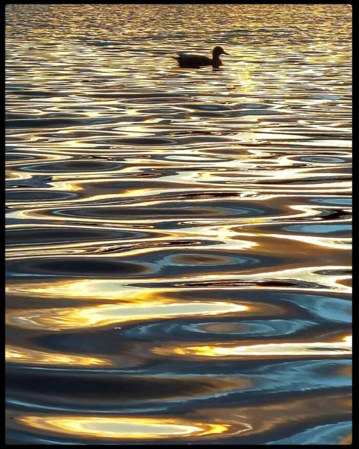 Unspectacular-Subject-Photography