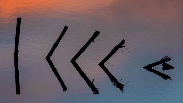 Unspectacular-Subject-Photography