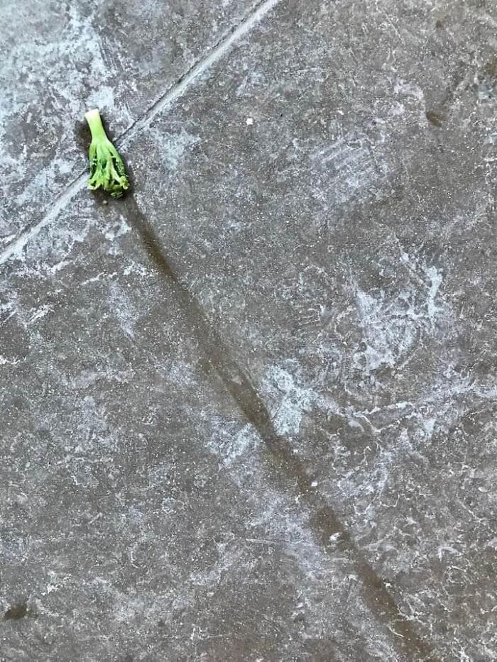 Unspectacular-Subject-Photography