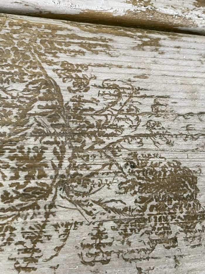 Unspectacular-Subject-Photography