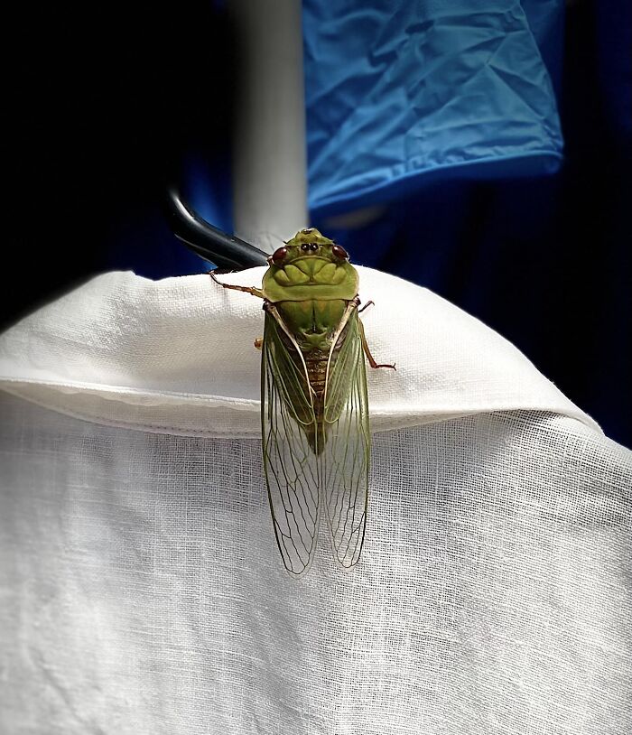 Unspectacular-Subject-Photography