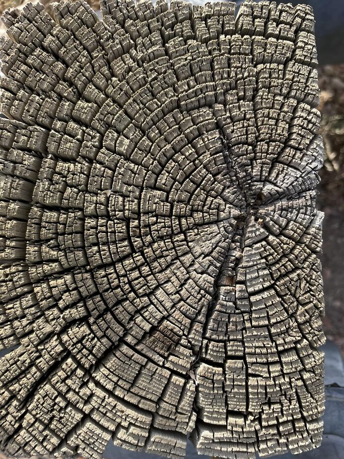 Unspectacular-Subject-Photography