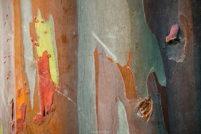 Unspectacular-Subject-Photography