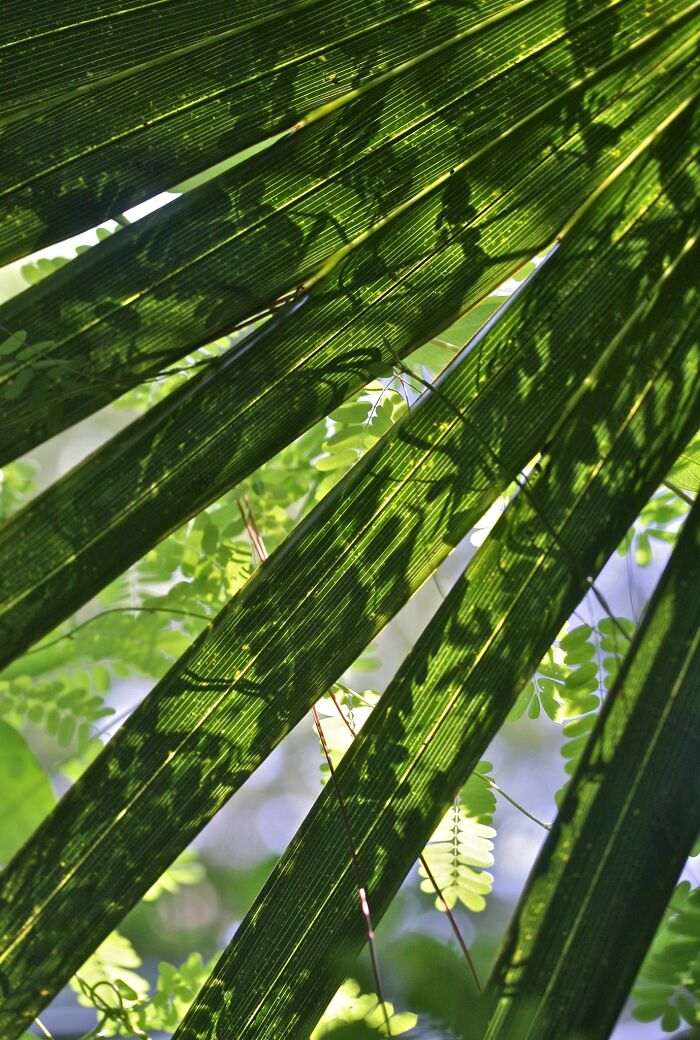 Unspectacular-Subject-Photography