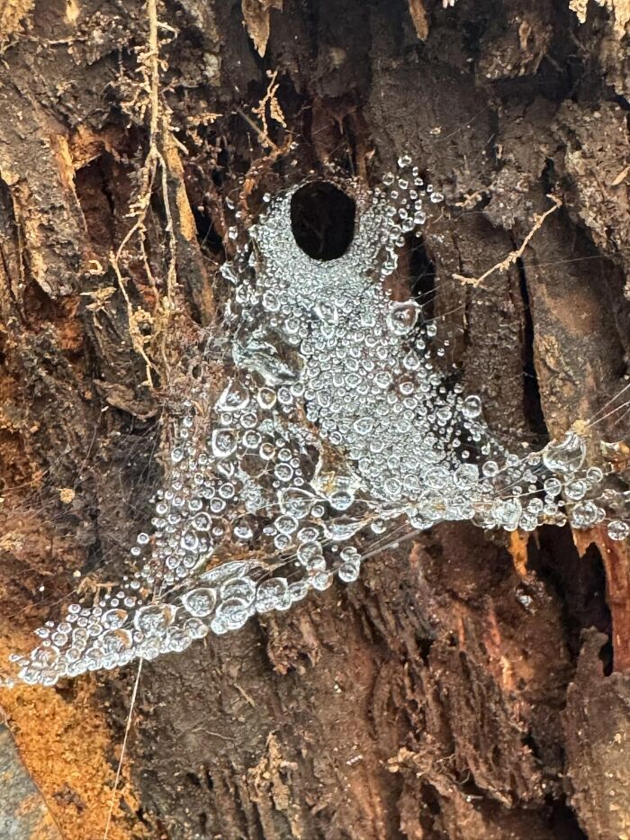 Unspectacular-Subject-Photography