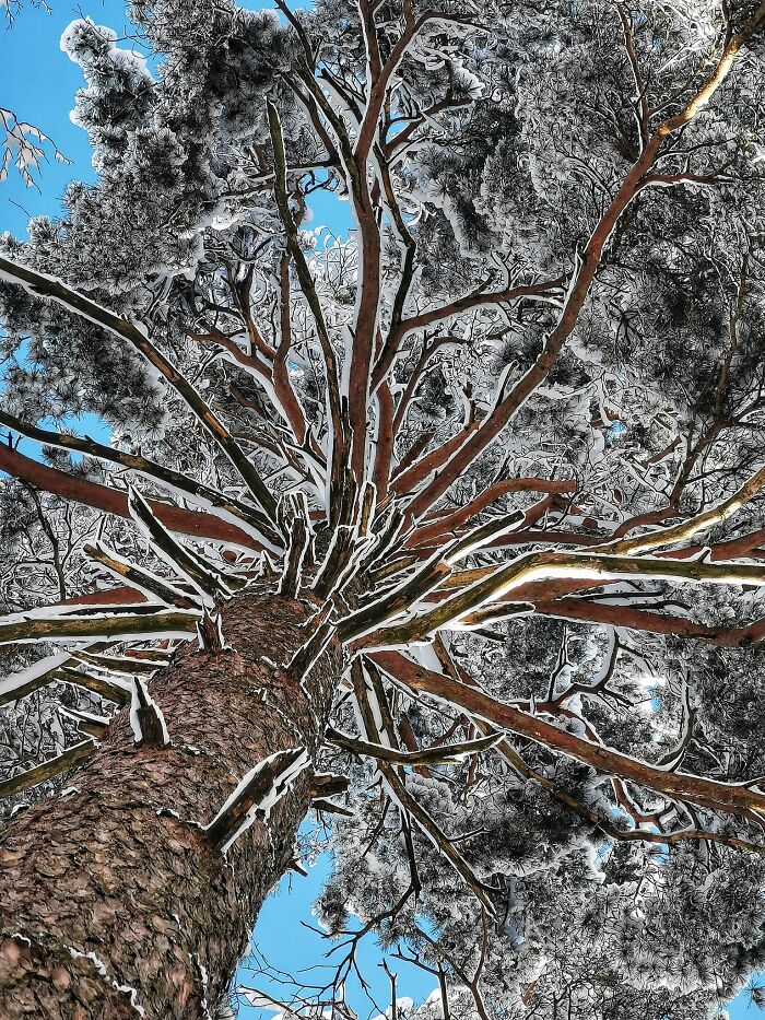 Unspectacular-Subject-Photography