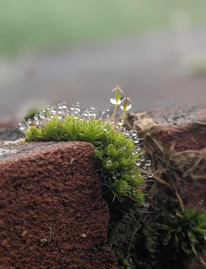 Unspectacular-Subject-Photography