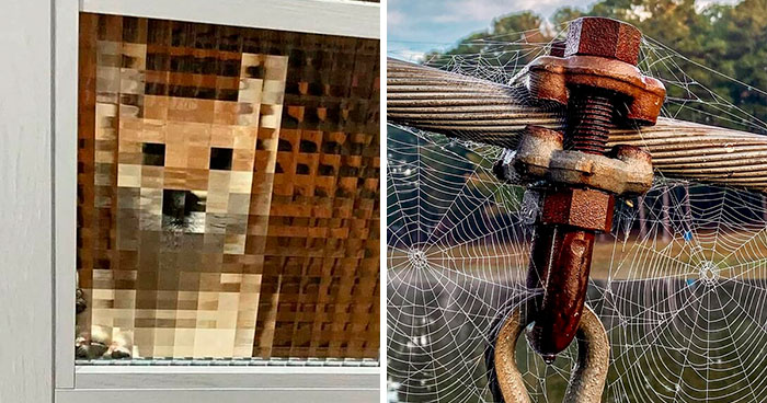 This FB Page Shares Spectacular Photos Of Unspectacular Things, Here Are 50 Of The Most Interesting