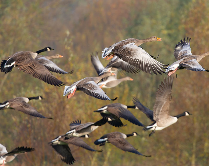 26 Of The Craziest “Speak Now Or Forever Hold Your Peace” Objections Witnessed By Officiants