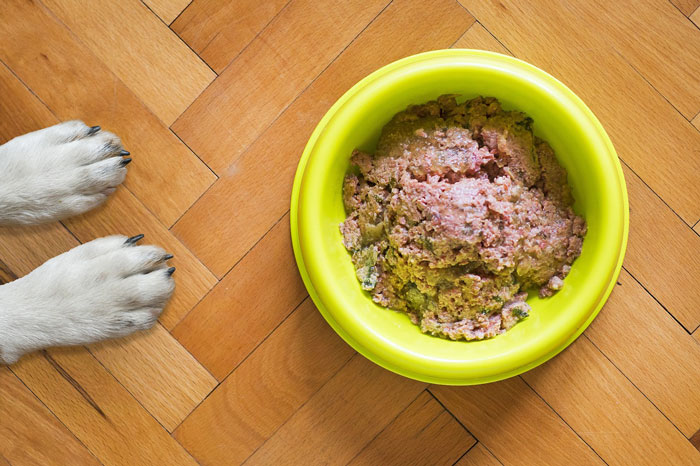 Dog's paws next to a yellow bowl filled with wet dog food highlighting wet vs dry dog food nutrition choices.