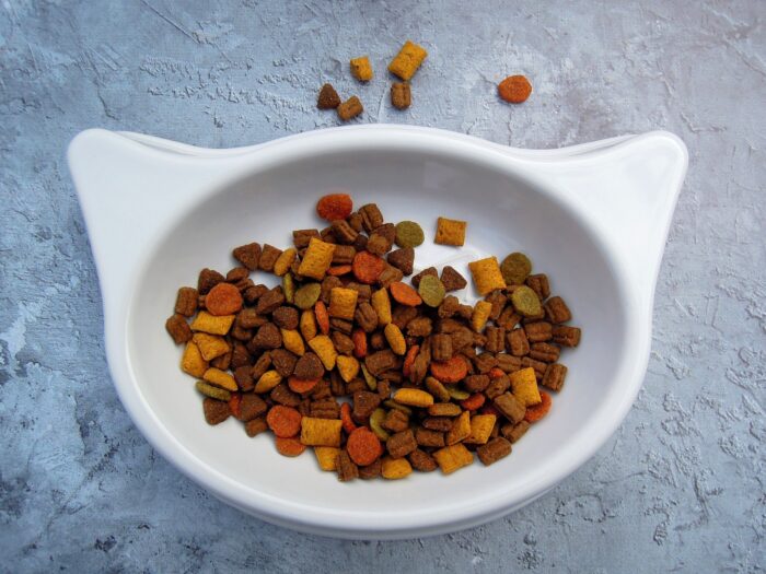 Cat food in a cat-shaped bowl on a textured surface.