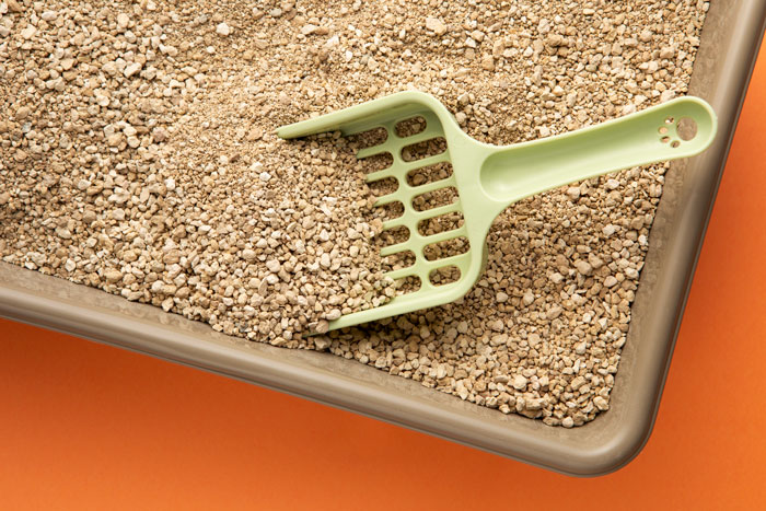 Cat litter box with scoop for odor elimination.