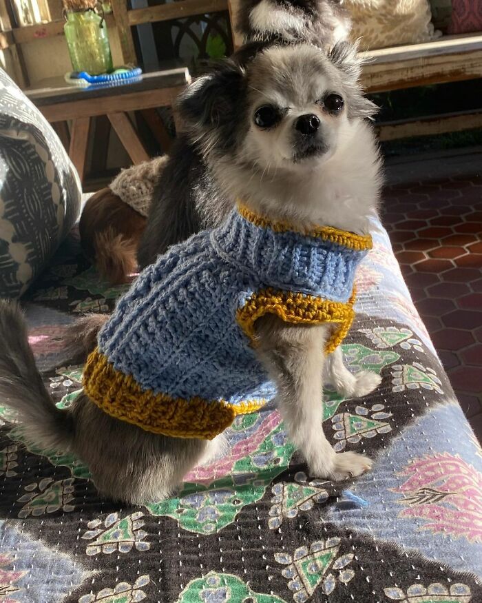 Stranger Makes Baby A Beanie On Flight, Kind Gesture Touches Millions, Including Michelle Obama Stranger Makes Baby A Beanie On Flight, Kind Gesture Touches Millions, Including Michelle Obama