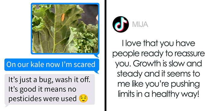 “I Would Have No Patience”: Woman With Emetophobia Shares What Goes On In Her Family Group Chat