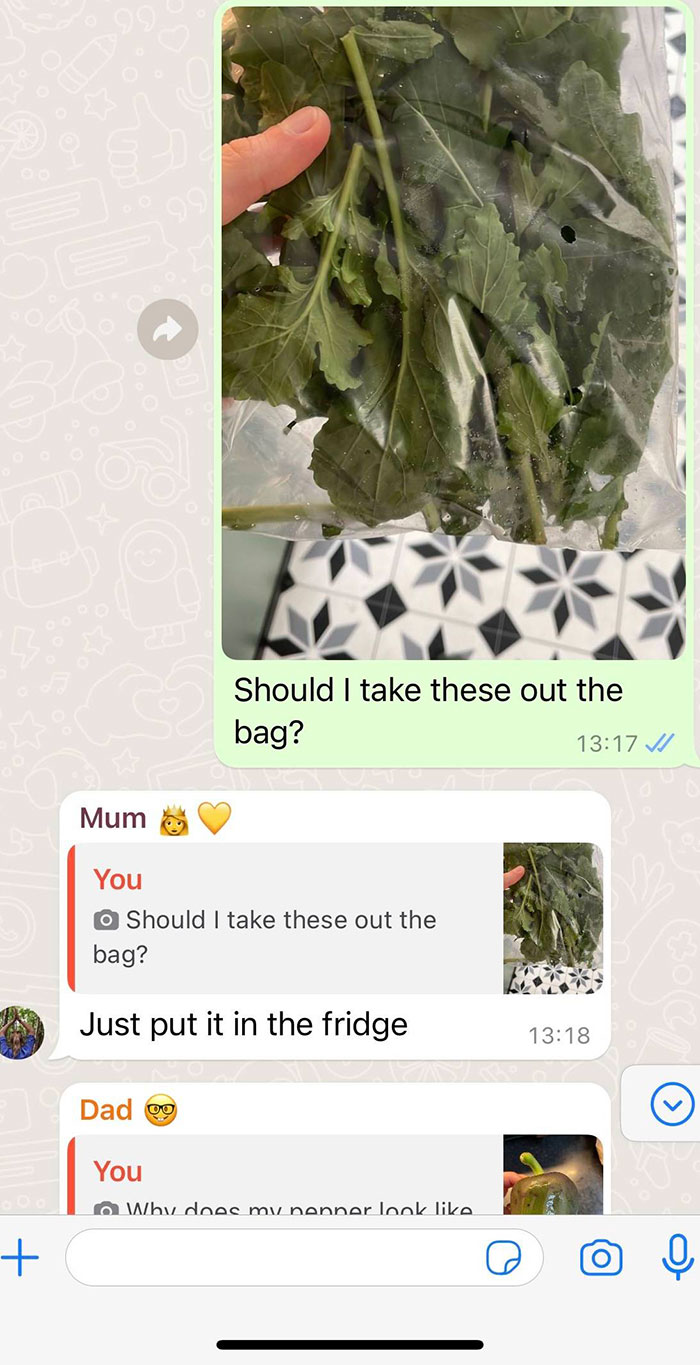 "I Would Have No Patience": Woman With Emetophobia Shares What Goes On In Her Family Group Chat