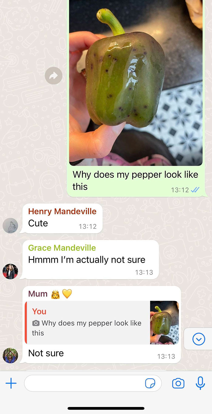 "I Would Have No Patience": Woman With Emetophobia Shares What Goes On In Her Family Group Chat