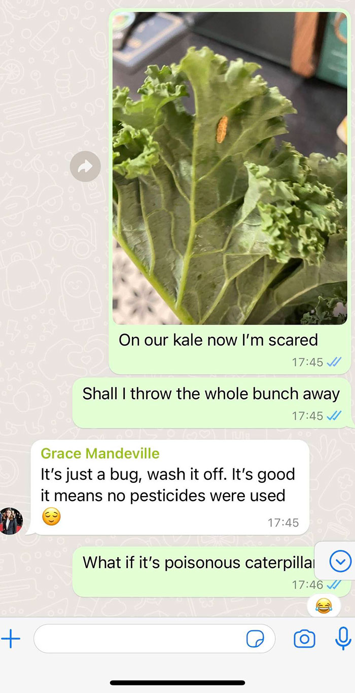 "I Would Have No Patience": Woman With Emetophobia Shares What Goes On In Her Family Group Chat