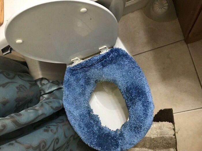 “The Carpet Was Just Like Squish Squish Squish”: 30 Wild Things Workers Saw In Clients’ Homes