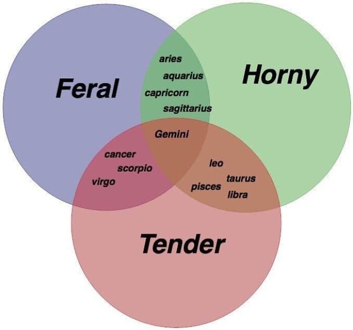 Funny-Nice-Relatable-Memes