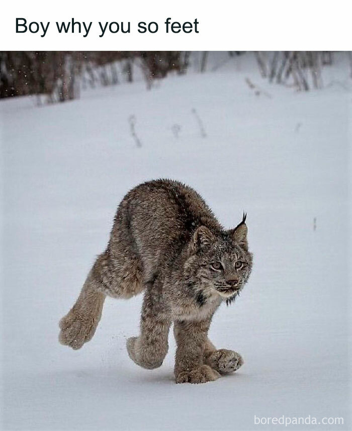 Clever-Science-Memes