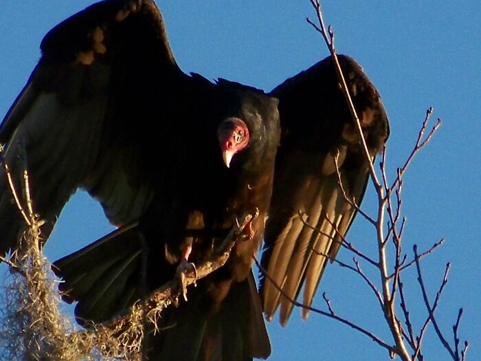October 2016 Wekiva Falls Rv Resort, Florida - What Are You Looking At?