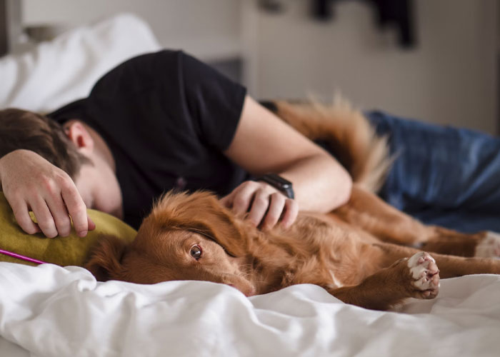 Person over 40 lying on bed with dog, reflecting on life choices and embracing a childfree lifestyle.