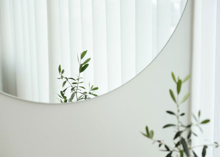 Reflection of green leafy plant on a white wall with vertical blinds, illustrating things people didn’t know late in life.