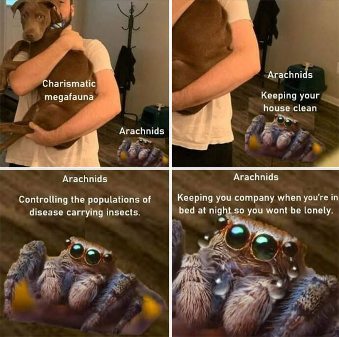 Clever-Science-Memes