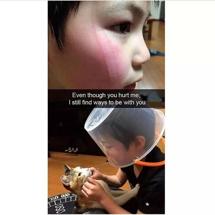 Animals Snaps