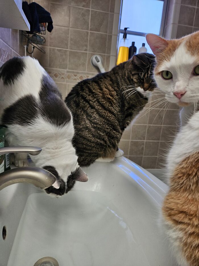 Around The Water Cooler