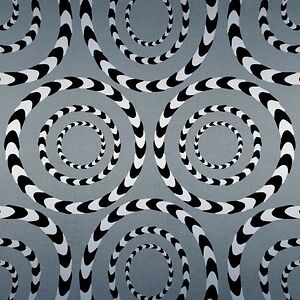 savannahlong2342 avatar