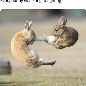 moniquehaynes avatar