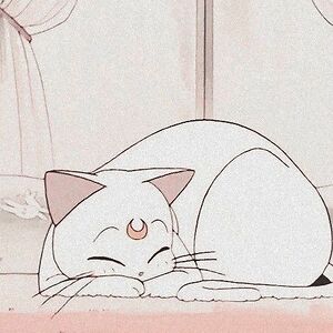 teenytinyllama avatar