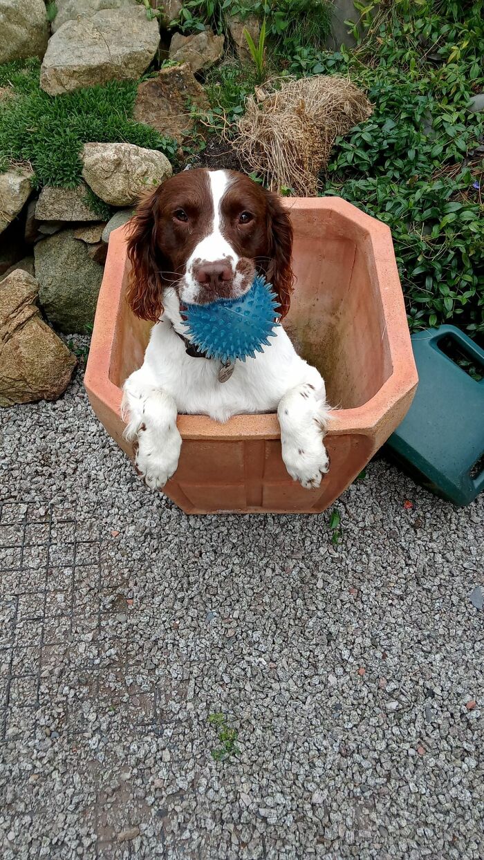 This Is My Beautiful Boy. He Has Absolutely Made My World A Better Place And I Couldn't Live Without Him