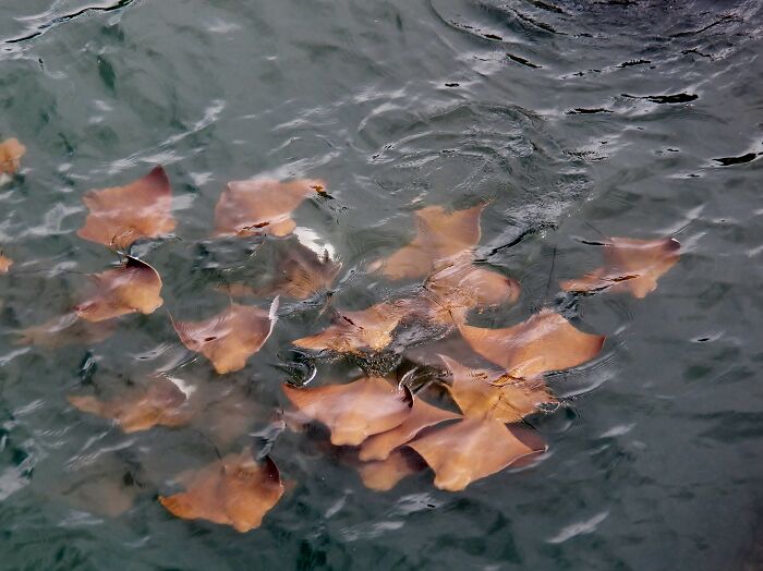 June 2021 Jetty Park, Port Canaveral Florida