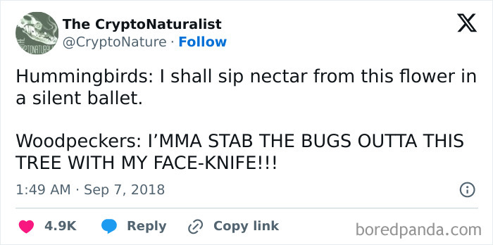 Clever-Science-Memes