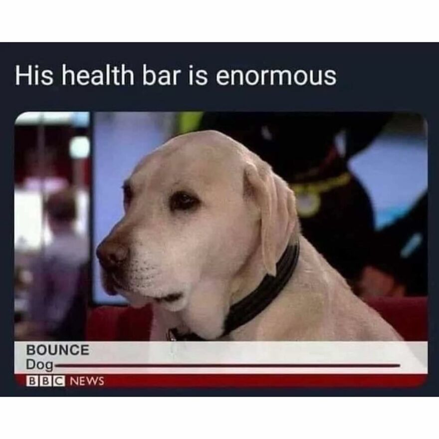 You Can Oneshot Him With A Chocolate