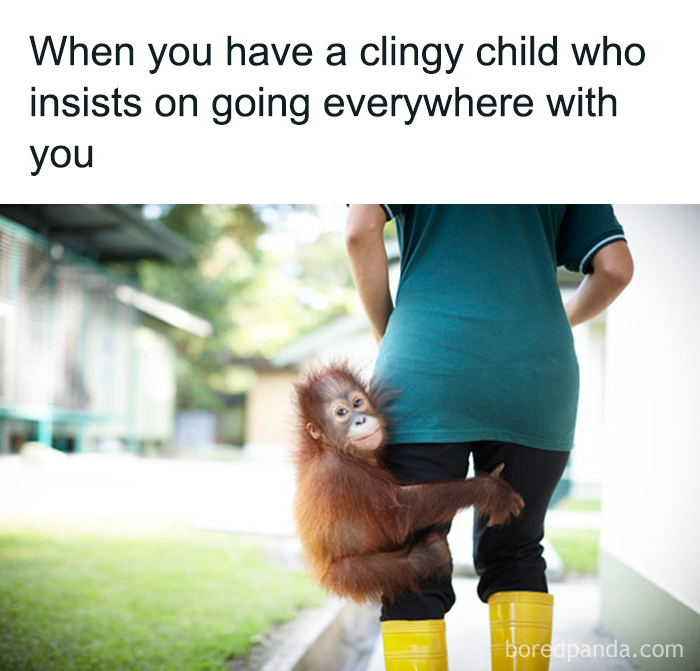 Hilarious-Parenting-Memes-Posts