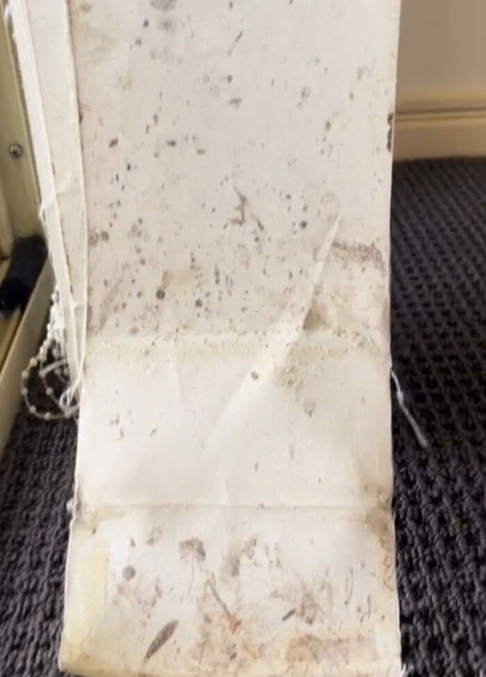 “Trust Me, You Will Regret It”: Cleaner Warns People Against Jumping Onto These Design Trends “Trust Me, You Will Regret It”: Cleaner Warns People Against Jumping Onto These Design Trends