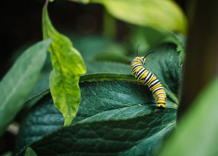 “What’s Your Favorite True Statistic That Makes People Do A Double Take When They Hear It?” (30 Answers)