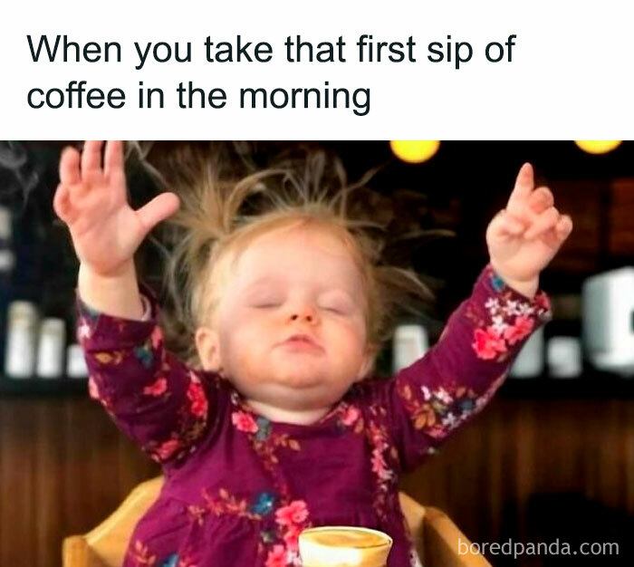 Hilarious-Sarcasm-Memes