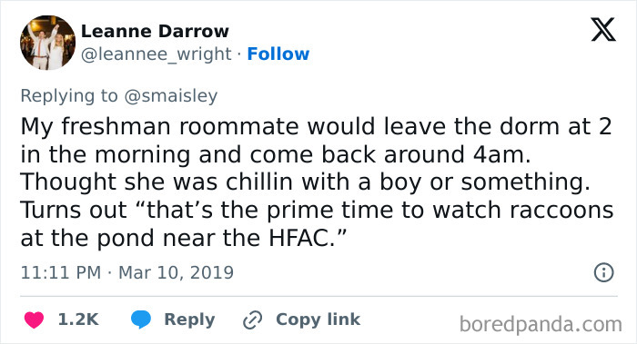 Funny-Random-Memes-Ship-Instagram