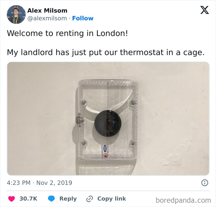 Landlord-Tweets-Renting-Chaos